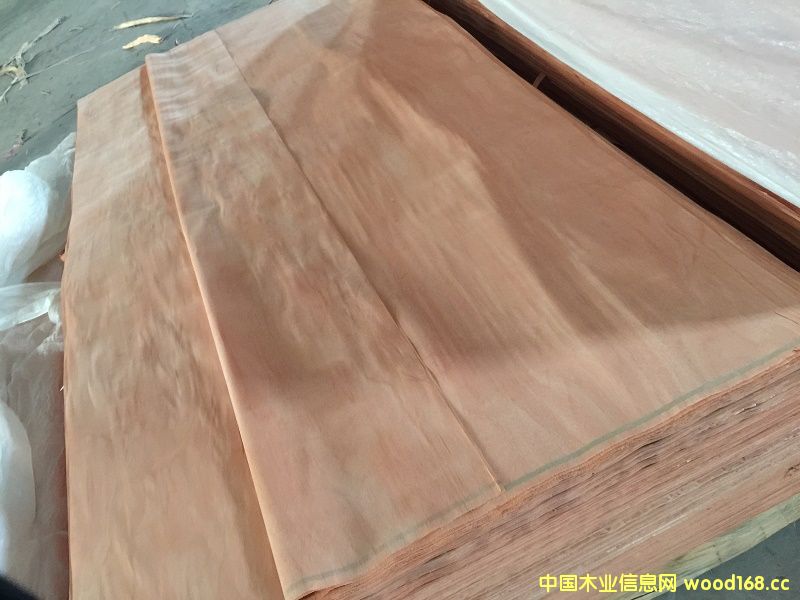 [��] �һ�о��Ƥ