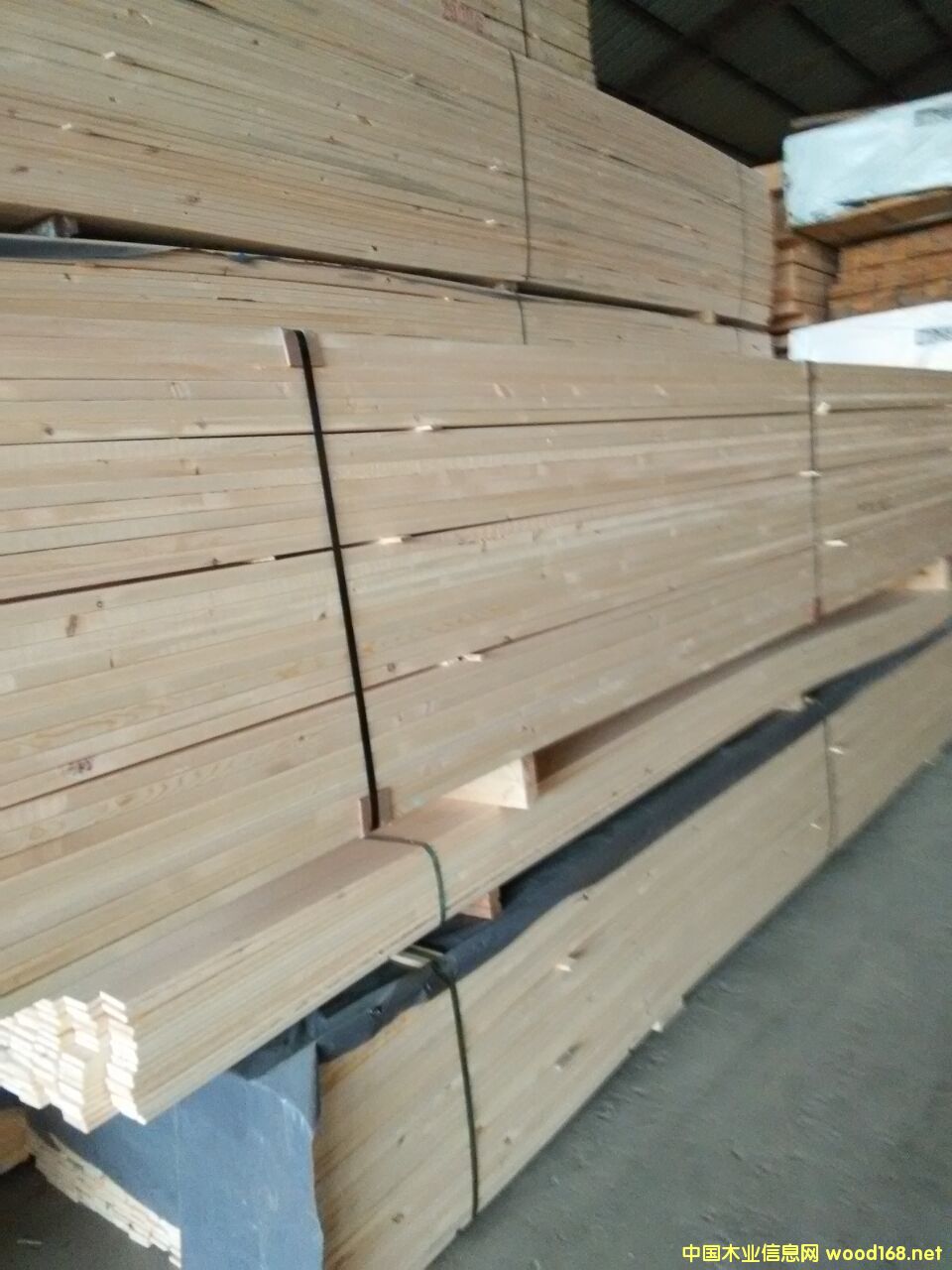 ���^�n�ӗl