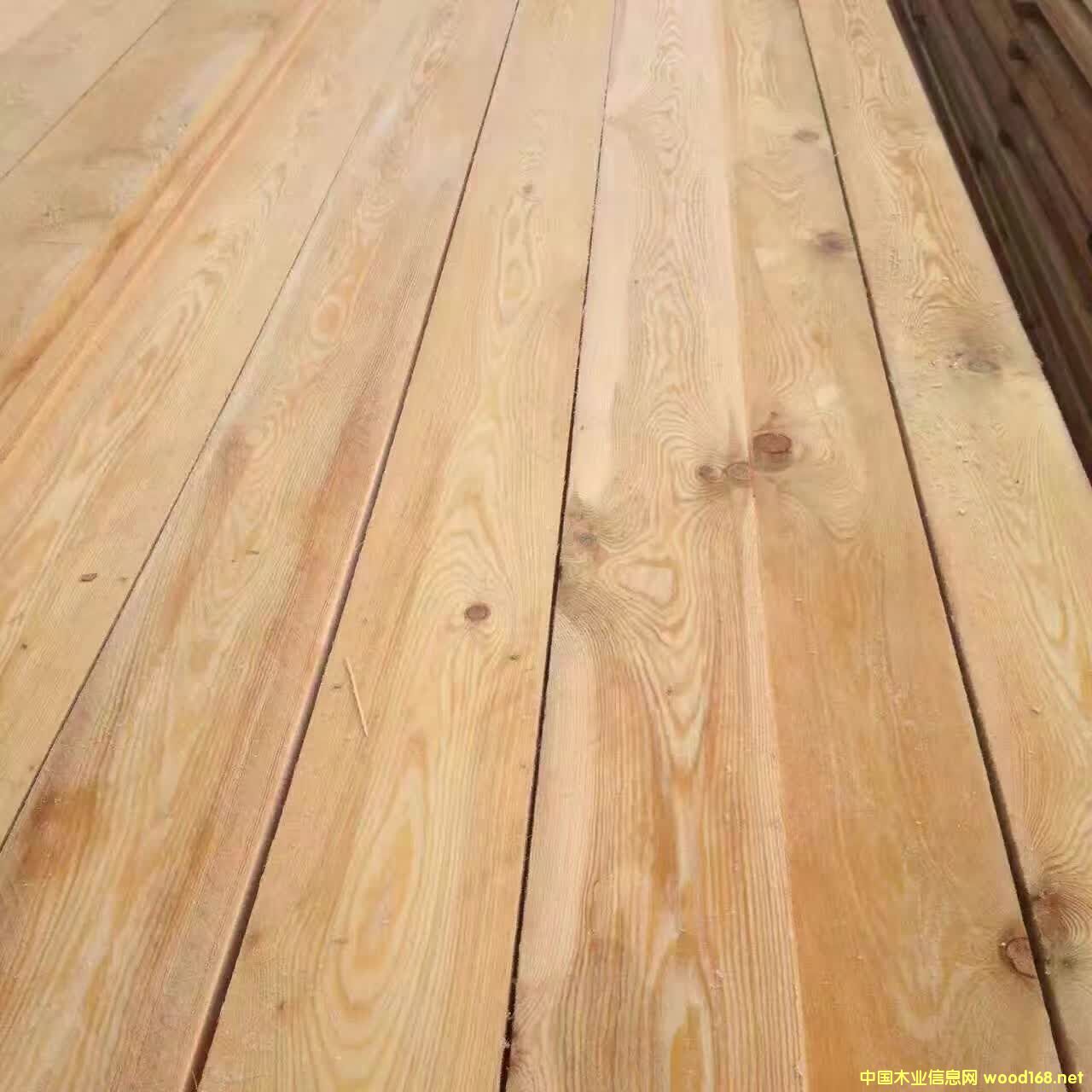 ���~�ɰ��