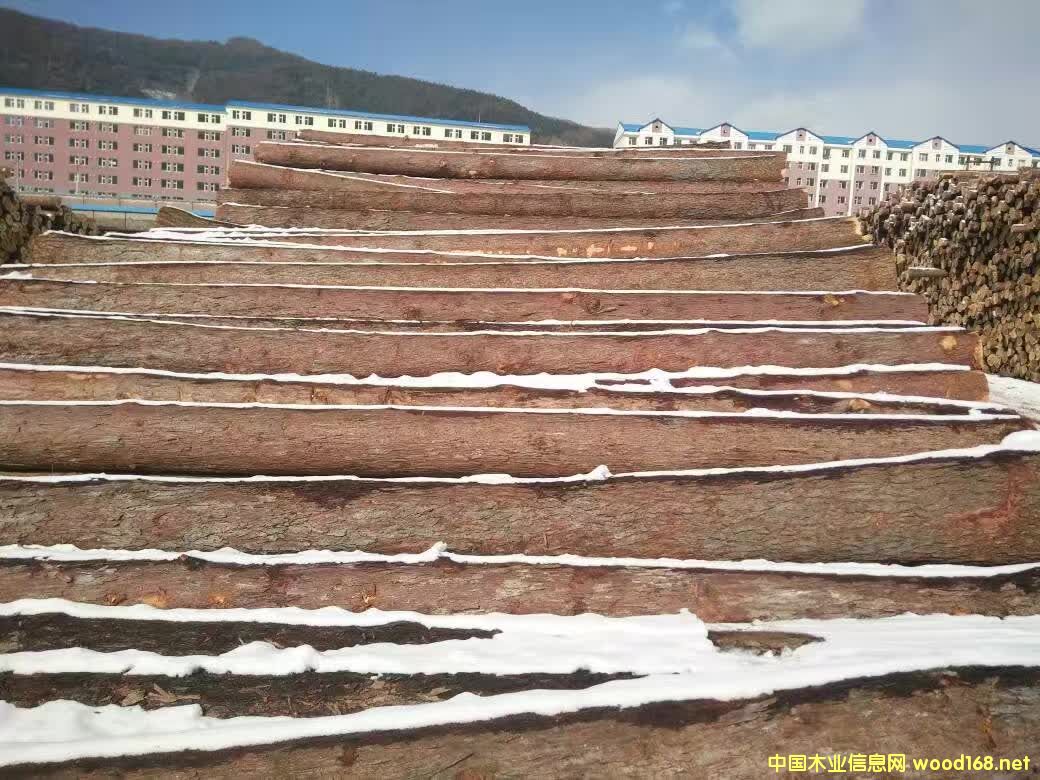 ���~��ԭľ