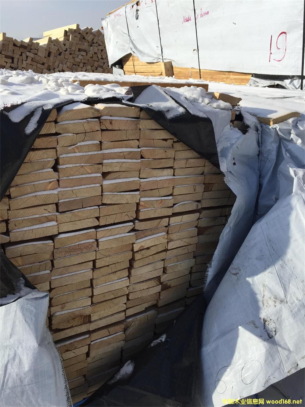 ���~�ɺ���ٹⶨ�߰�