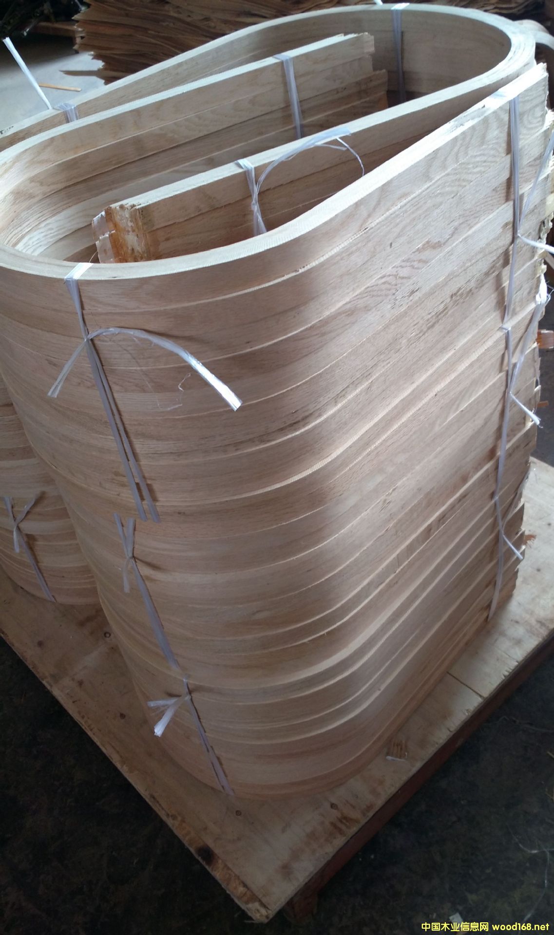 ����˹�ա����ΰ匣�íh(hu��n)����ȩ��֬��ȩ�z��������ȩ�������Ԅ�