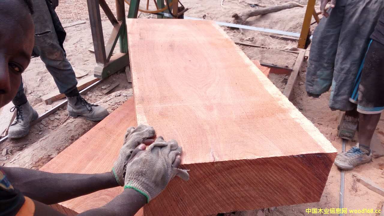 ���~������5cm