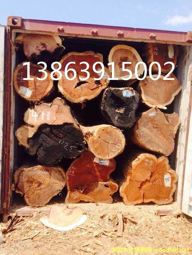 ���~�t̴ԭľ