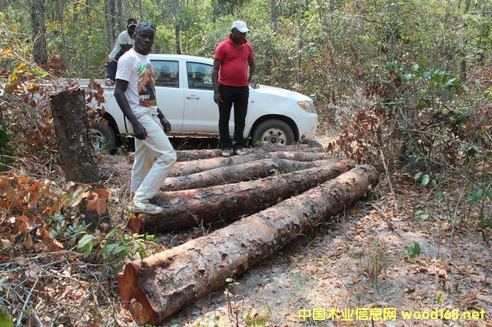 ����������������ڼӹ�ľ��