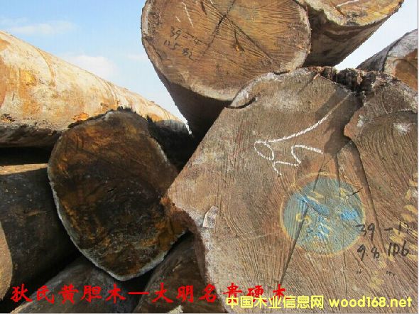 ľ�Ę�NԔ��--�����Sđľ  �׷Q: �͵�ľ���Ӽ{��̴