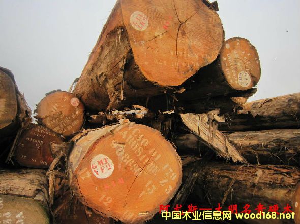 ľ�Ę�NԔ��--����˹  �׷Q������ͩ�����ް�ľ