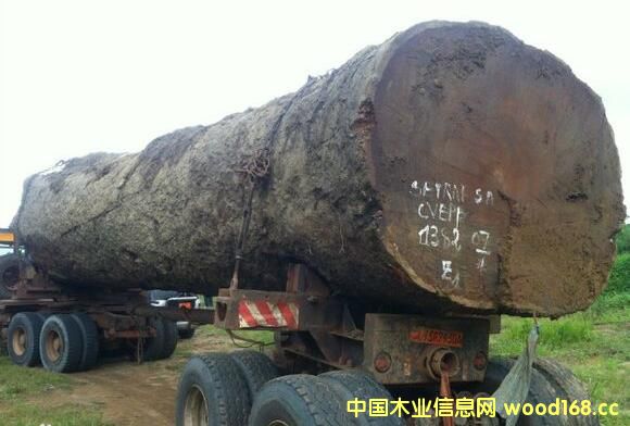 �ͻ��r(ji��)���ϝq2000Ԫ/������