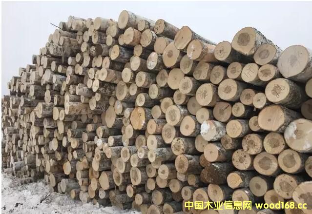 ���_˹��ľ��ֹ�������Ї���ľ�ӹ��ИI(y��)����ȥ�Ώ���