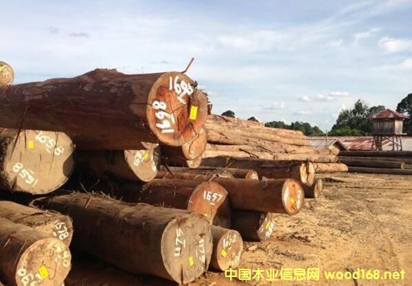 ��N����ݗ�����������ɡ����ձ������W����������ɼ��Ʒ�N