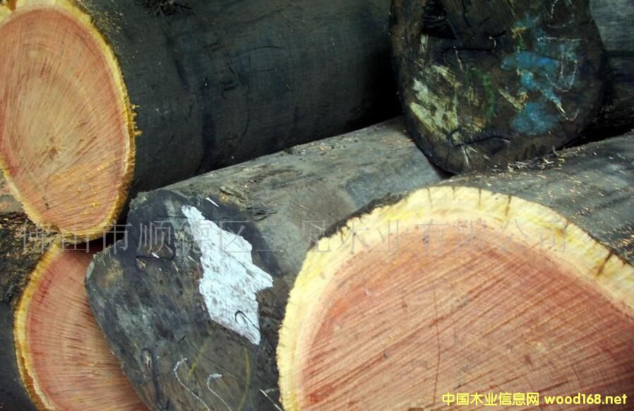 �ʰ� �𲻓Q ����˹(�ʰͶ�kempas)�r��