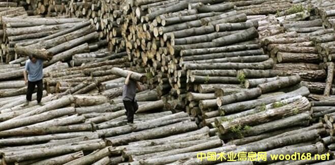 ɰ��Խ������ȫ��Ĳ��~�_66�|� �����A�����