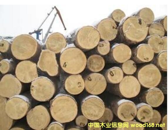 ����ԭľ�ۿ��N�ۃr(ji��)650-950Ԫ/������