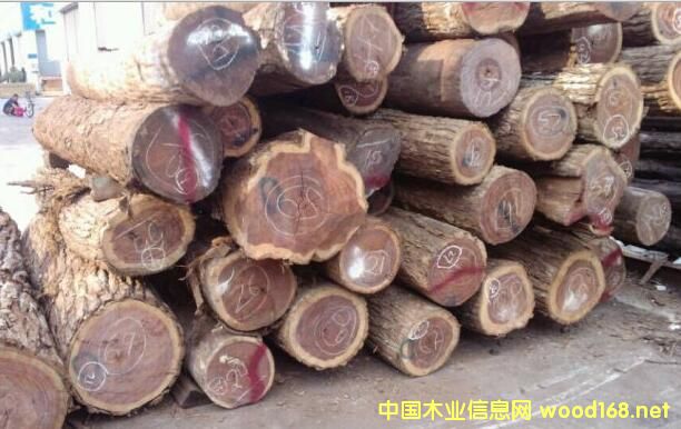 ľ���Ј�(ch��ng)����^�죺�׃������������֦���r(ji��)����������ʷ��������