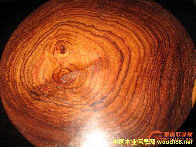 ľ��Ȧ:ľ�����F�����~�S���桱