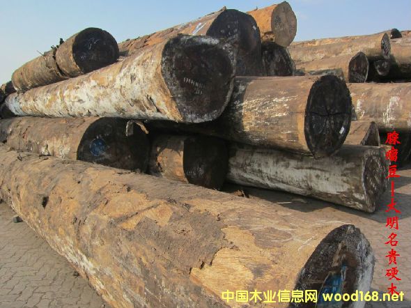 ľ�Ę�NԔ��--������  �׷Q������R������R