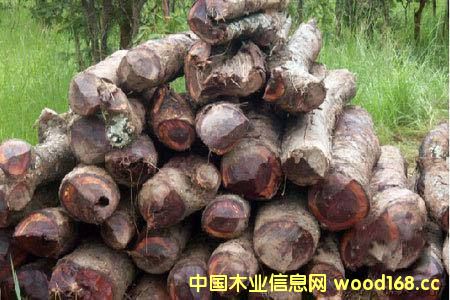 ���޲ļ������S�ݡ� ���������������ȁ���ٝ�ȁ����^��ֹԭľ��