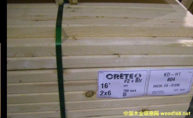 ���ô�SPF����(j��)���ܵ����_˹�ĺͱ��W�ď�(qi��ng)��(sh��)��(j��ng)��(zh��ng)