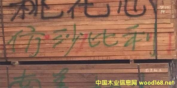 ���޲��Ј�(ch��ng)�^�죺��ɳ������؛�����D(zhu��n)