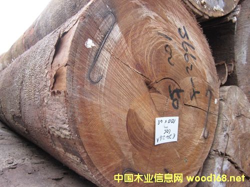 �Z�а�ԭľJATOBA�\�~�Kľ��������������ľ