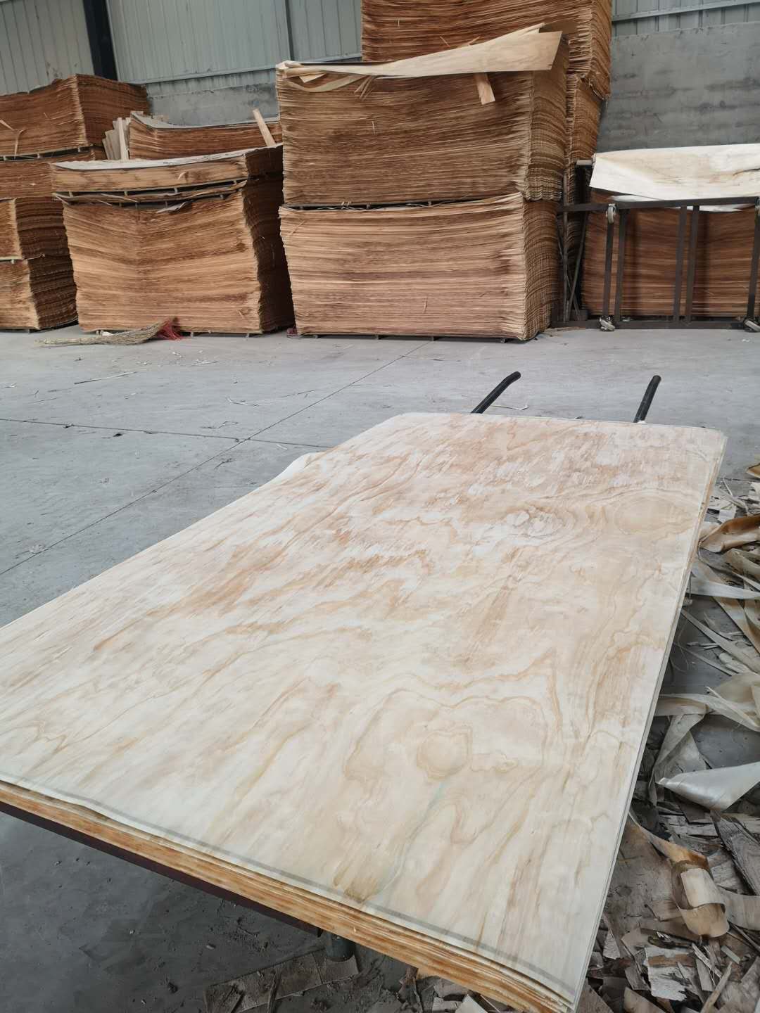 �o(w��)��(ji��)����Ƥ