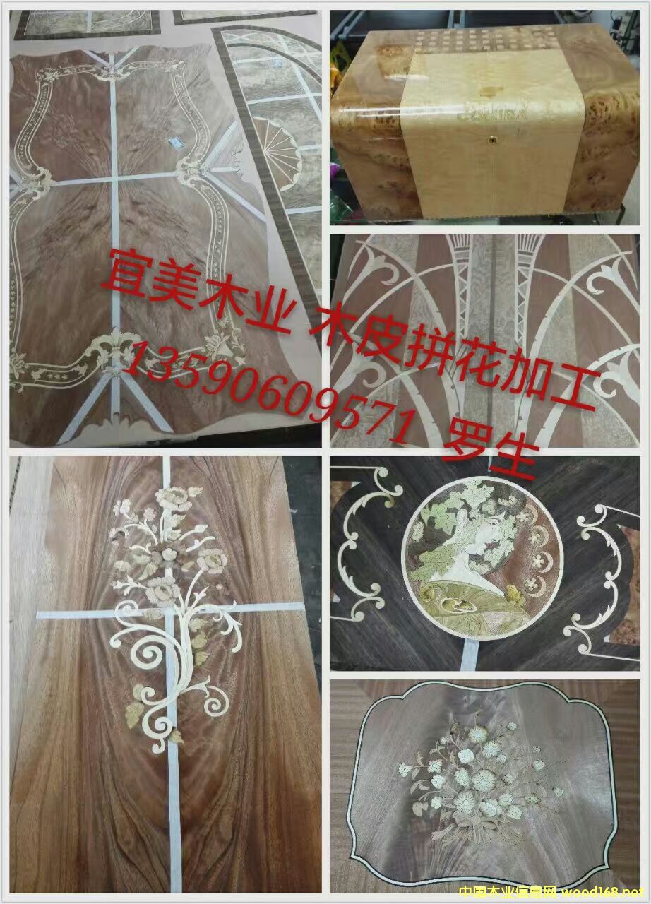 [��] �Ҿ�ľƤƴ���N��