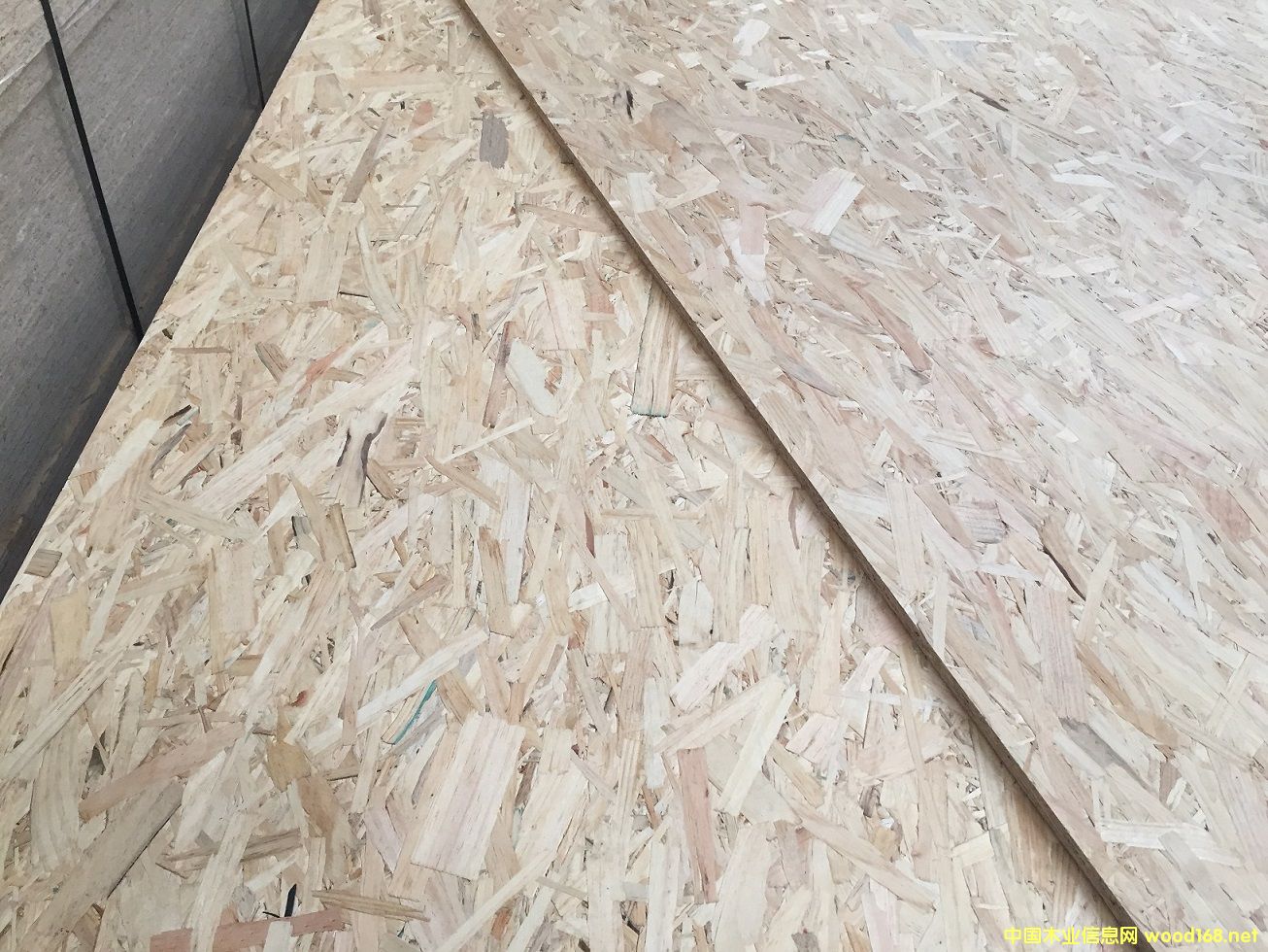 ALLFLYȫ��ľ�oȩ��OSB