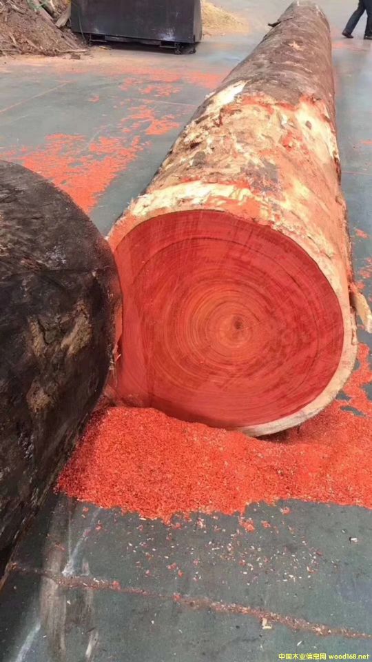 �t������������̴