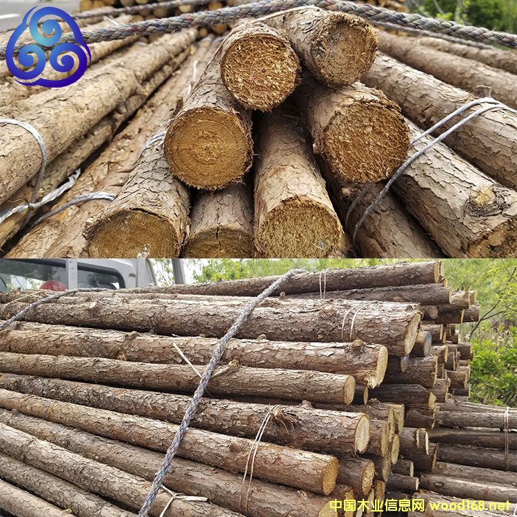 ֲ��U��Ԕ��(x��)��B