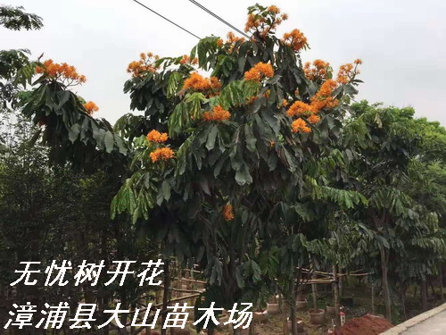 �o(w��)�n��o(w��)�n����Ԕ��(x��)��B