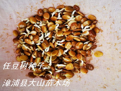 �ζ���N�������vľ��Ԕ��(x��)��B