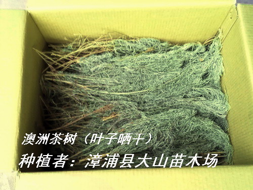 ���޲���~����ȡ����ԭ�ϵ�Ԕ��(x��)��B