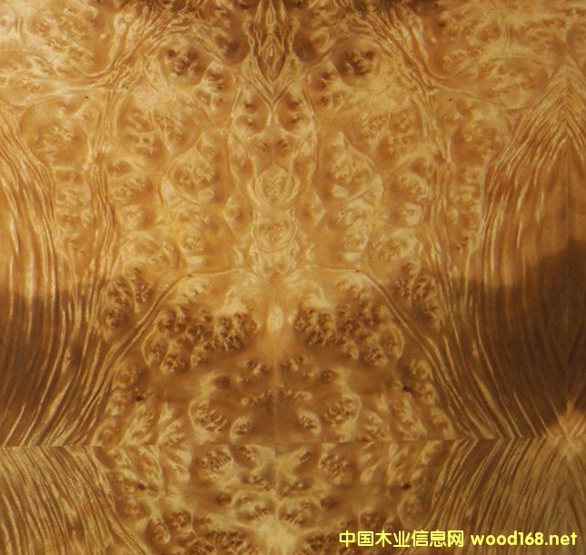  ��Ȼɽ�������ľ����