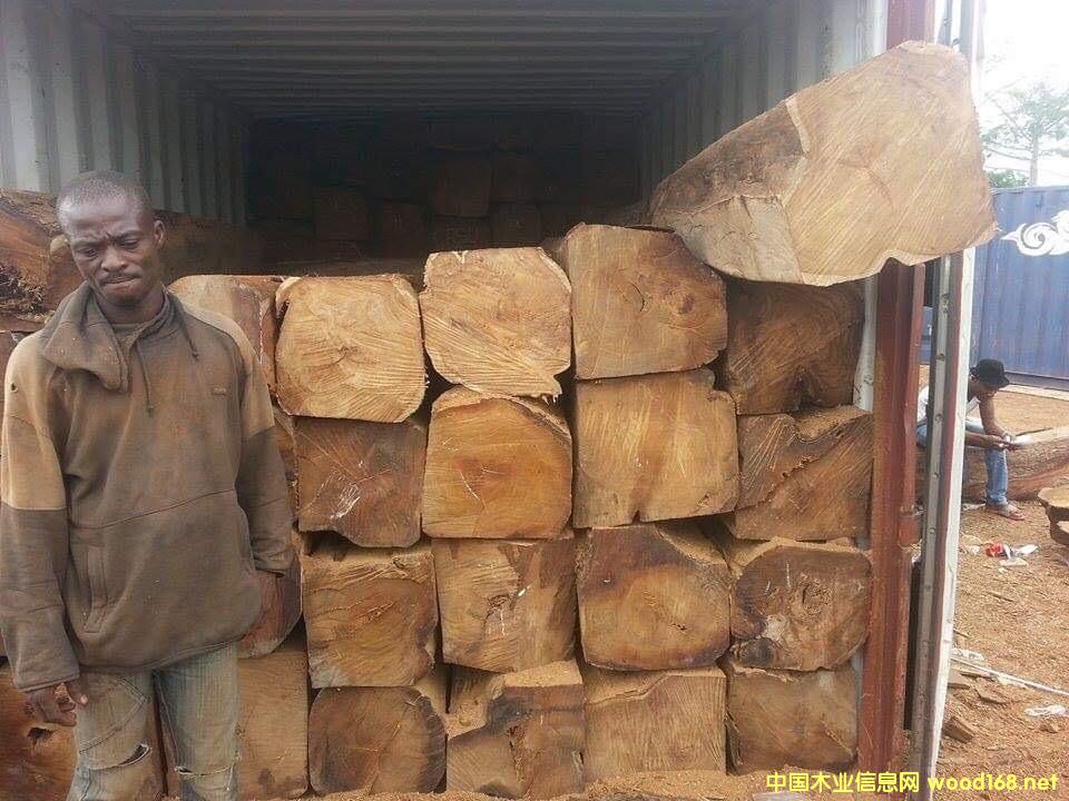 �����̴/������