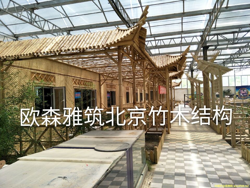 ��ͤ�ӵ�Ԕ��(x��)��B