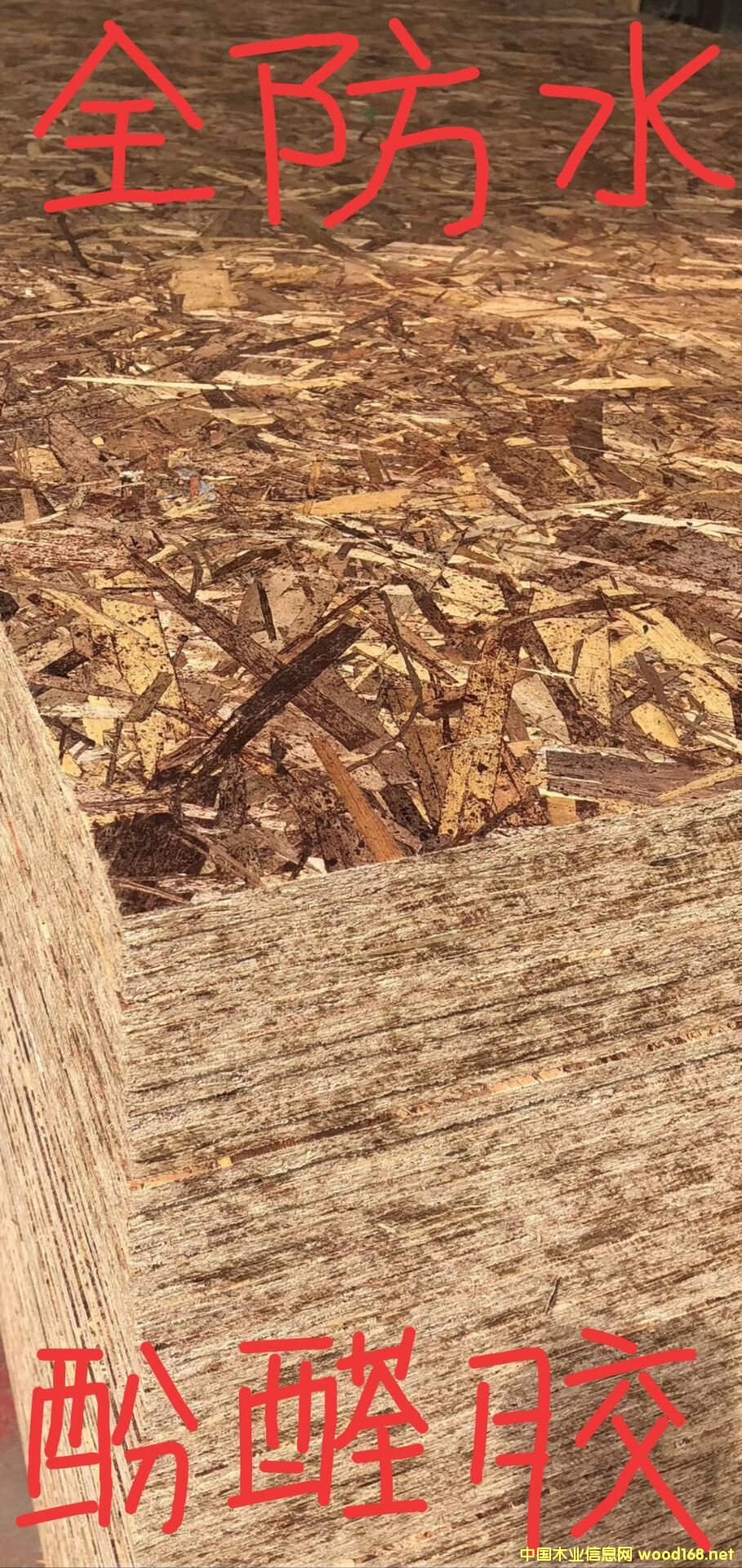 [��] OSB�W�ɰ��ٻ���9mm�p�������ˮ40Ԫ/��OSB�W�ɰ�