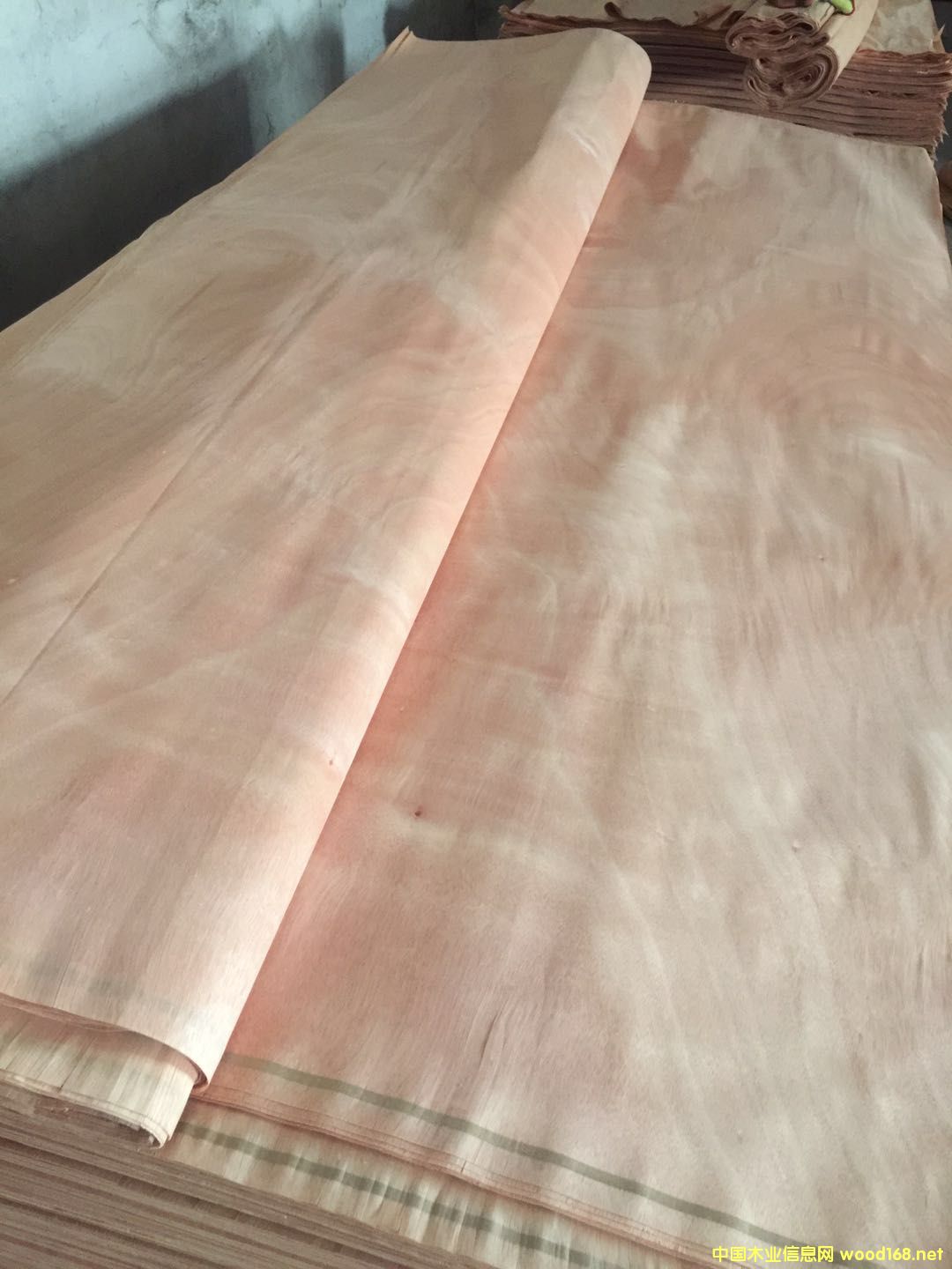 �W������Ԕ����B