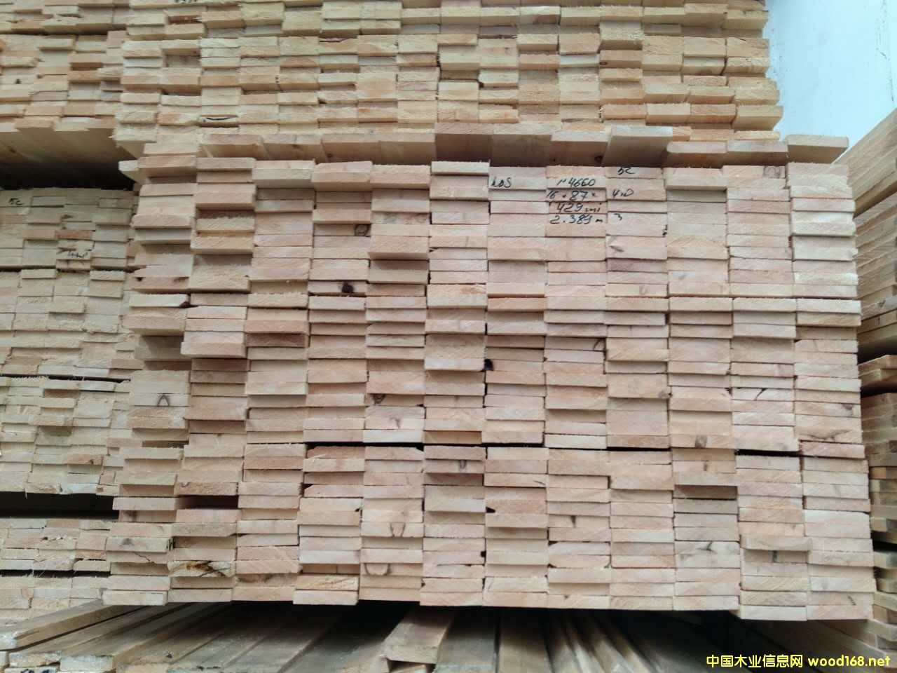 ���ɸɰ屡��