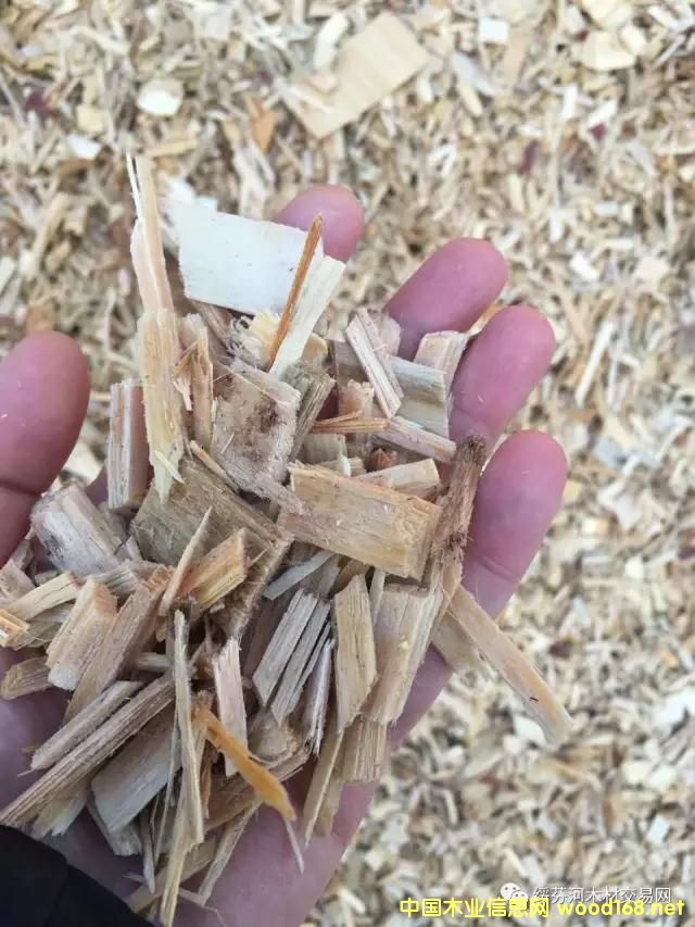 �羳��ُ(g��u)�����_˹���~�����Іΰ�U��ľƬ