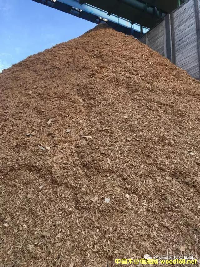 �羳��ُ(g��u)�����_˹���~�����Іΰ�U��ľƬ