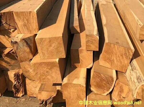 ������ľ����