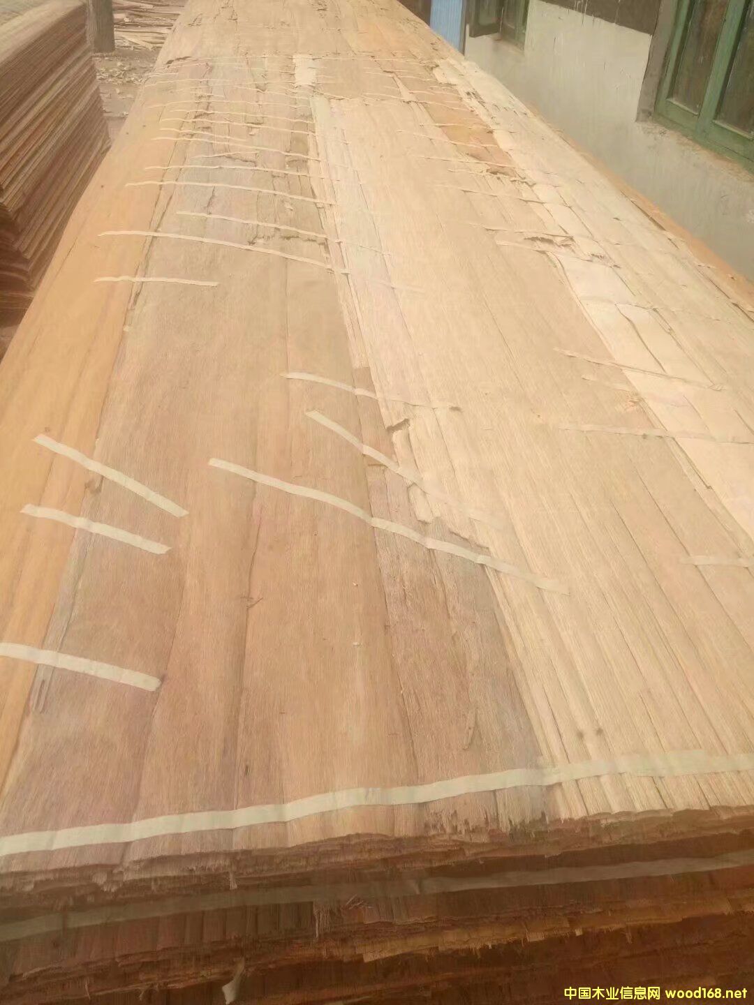 �sľ�L(zh��ng)�а�