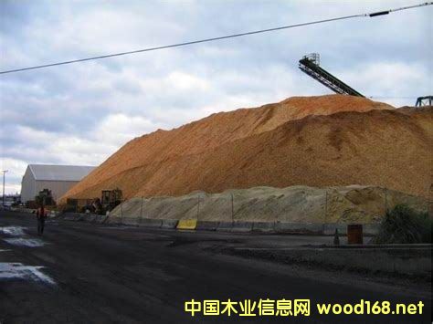 �M�������Ϸ���ľƬ