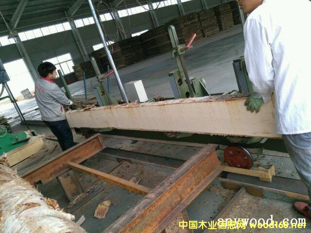 �W��/���_˹��ľë߅��/�R߅��