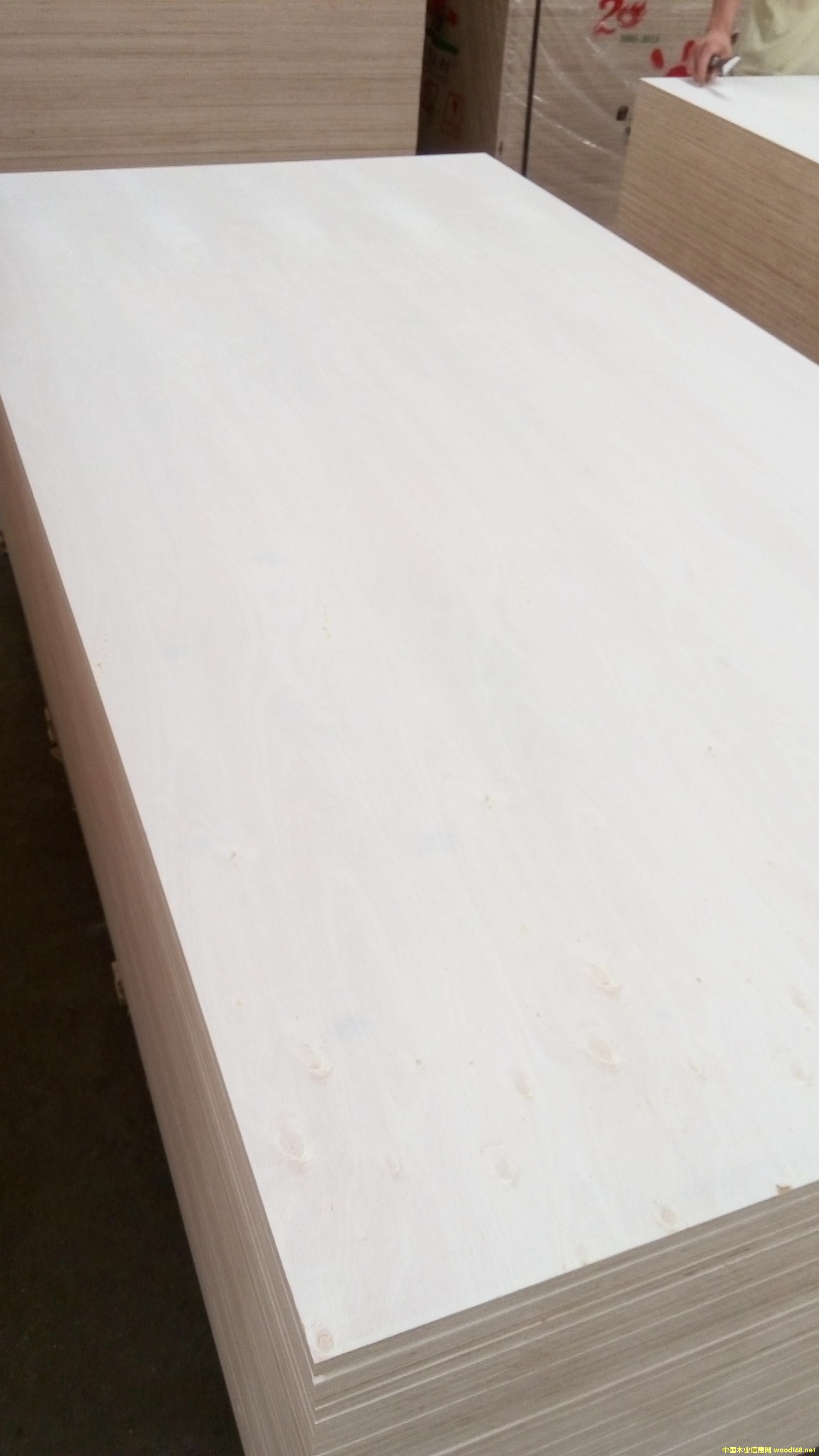 18mm�o(w��)ȩȫ��ľ���B(t��i)��