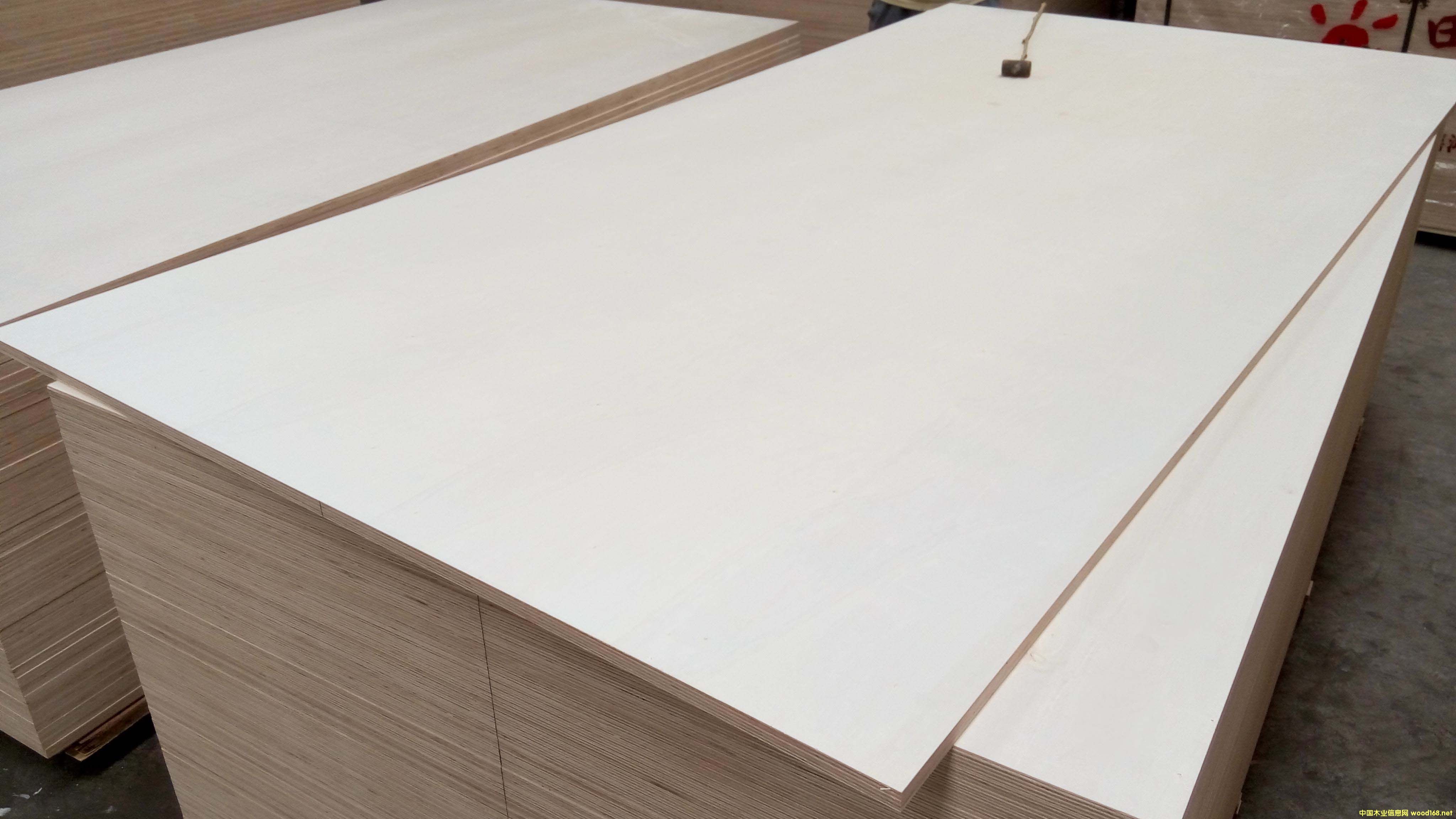 18mm�o(w��)ȩȫ��ľ���B(t��i)��