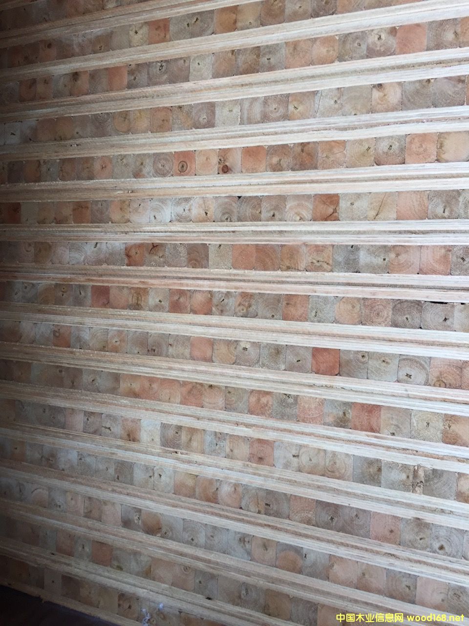 ��ľľо�T�װ�