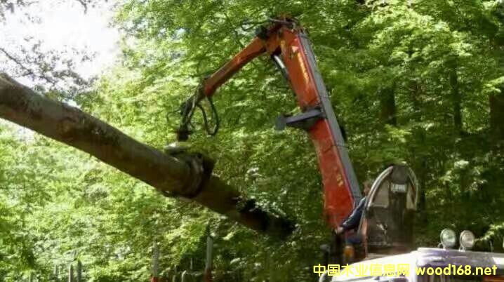 �W�ޙ�ľһ��؛Դ