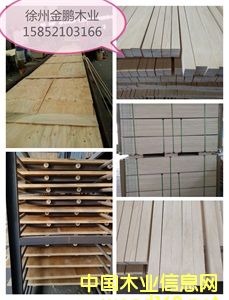 [��] LVB�z�ϰ��Tо��