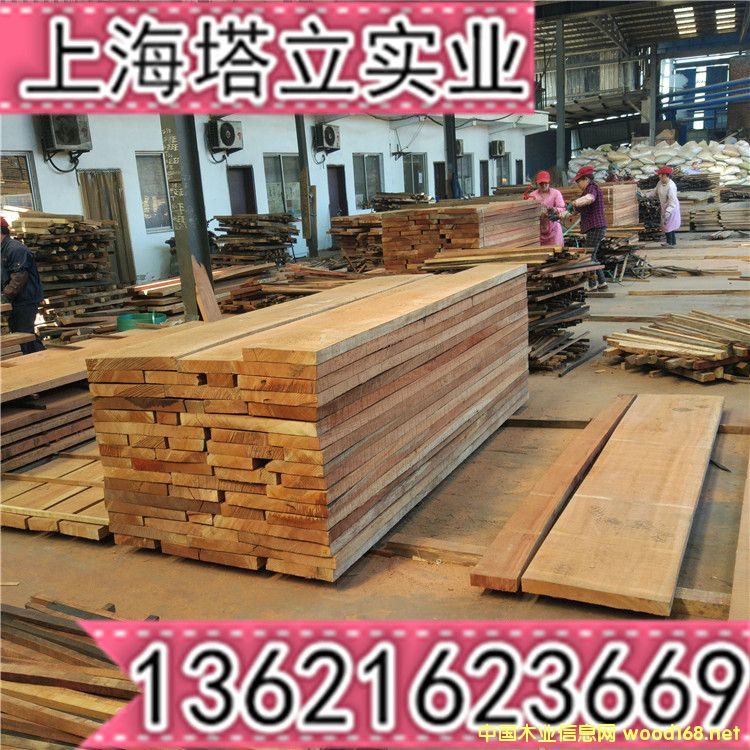 ɳ�����Ҿ߰匍(sh��)ľ�T���ݷ��ֺ���M(j��n)��ľ���